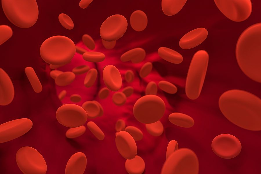 blood under the microscope, red blood cells moving through the vein, 3d rendering